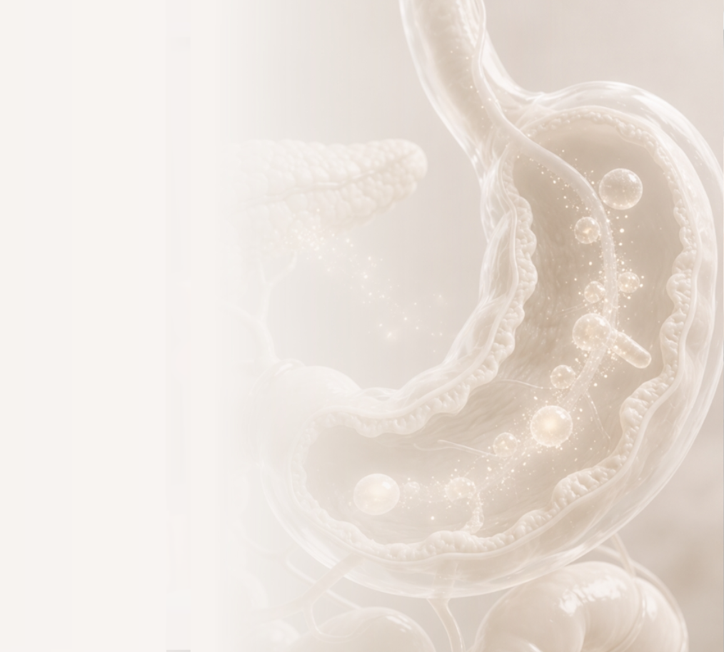 Restore Your Digestive Health & Improve Your Overall Wellbeing