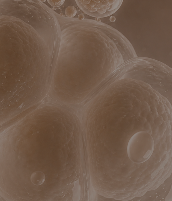 secbanner09